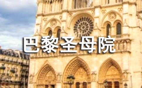 高中巴黎圣母院的读后感