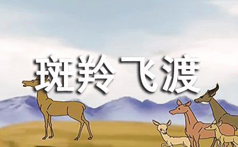 斑羚飞渡读后感(集合15篇)