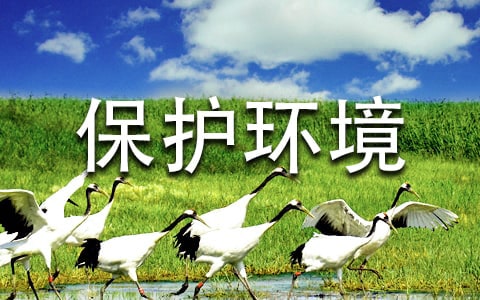 建议保护环境的建议书(精选15篇)