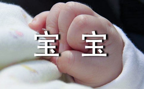 《树叶宝宝》教案