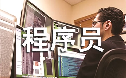程序员转正述职报告7篇
