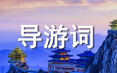 宁夏沙湖导游词