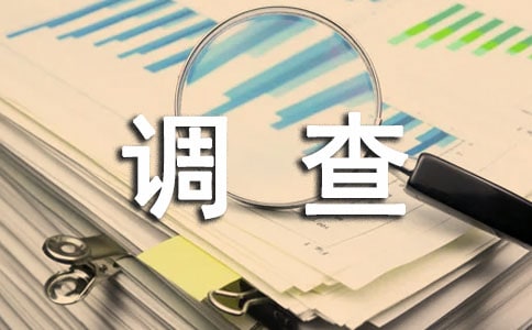 ʵϰ鱨