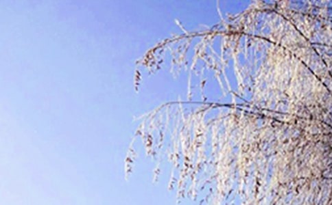关于冬天的古诗[优秀21首]