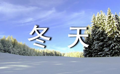 小学冬天的作文三篇