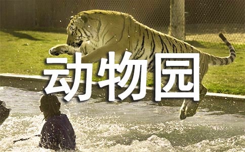 动物园日记