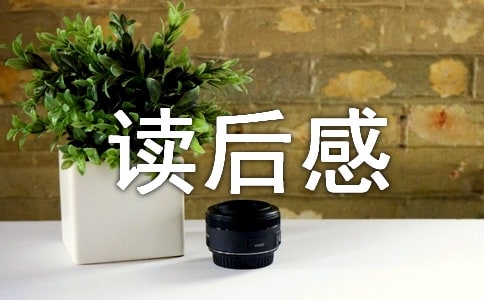 蓝鲸的眼睛读后感
