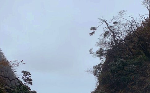峨眉山导游词