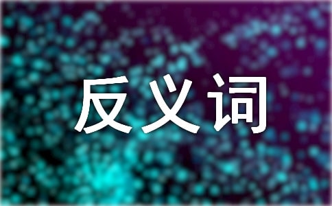 大班反义词语言教案