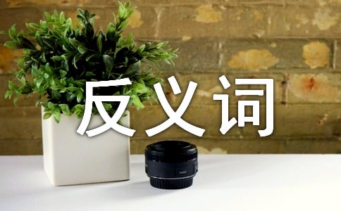 热情的反义词 