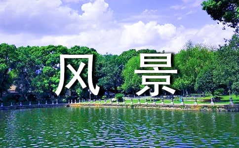 꼶羰