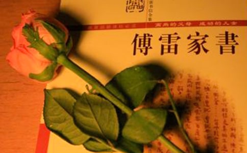 《傅雷家书》读书笔记(14篇)