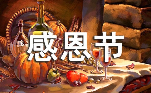 感恩节日记3篇