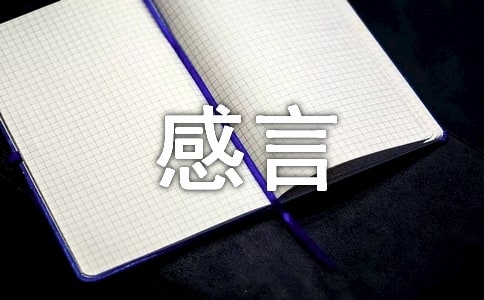 简单的人生感言语录集合81条