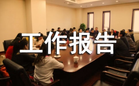 项目工作报告