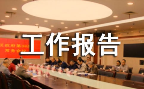 [精品]工作报告制度