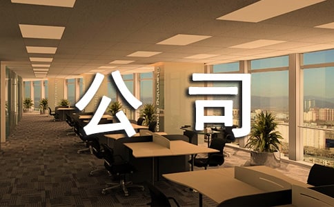 公司工作计划15篇