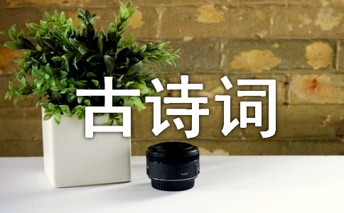 古诗词赏析