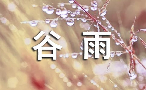 谷雨小学作文