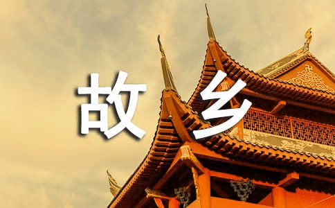 二十年后回故乡小学作文集锦15篇
