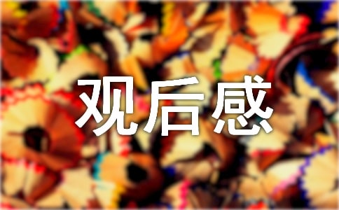 交通安全观后感