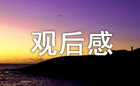 《小人国》观后感13篇