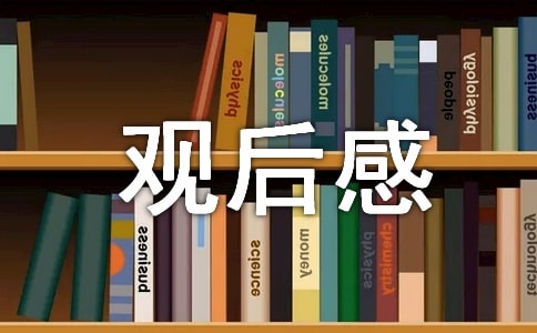 关于交通安全观后感6篇