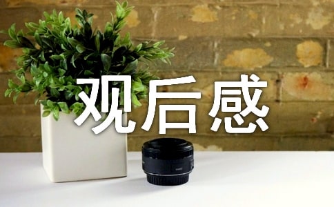 大国重器观后感