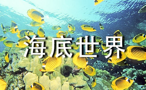 有关《海底世界》教案汇编八篇