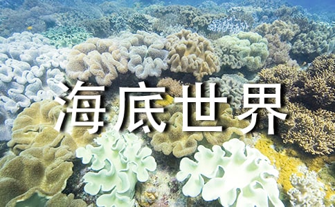 《海底世界》教案7篇