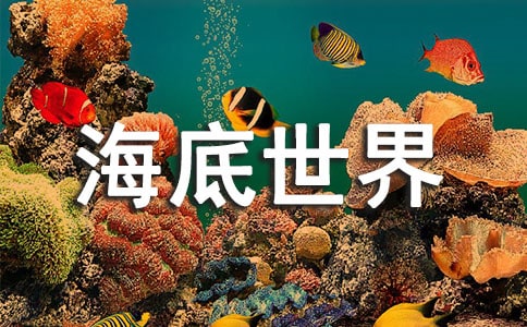 《海底世界》教案
