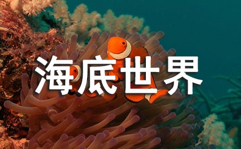 海底世界教案九篇