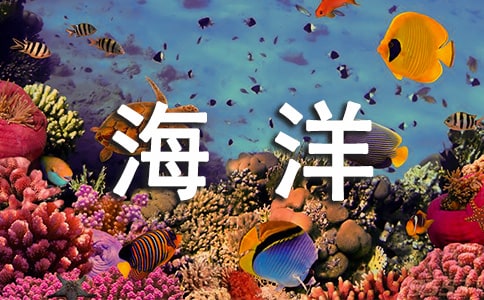 海洋奇缘的观后感