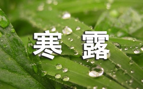 描写寒露的唯美句子(合集)