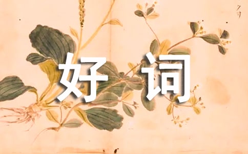 好词好句好段摘抄