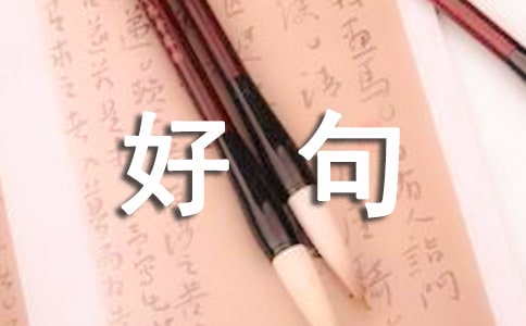 人生感悟好句合集70条
