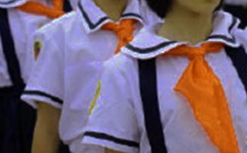 ѡСѧ4ƪ