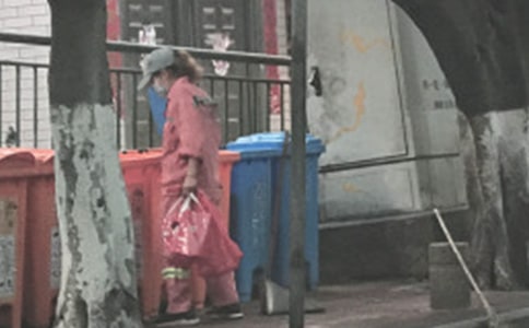 镇环卫所工作总结