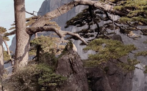 黄山景点导游词