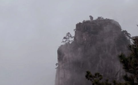 黄山迎客松导游词