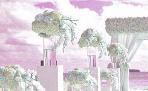 婚礼策划书(15篇)