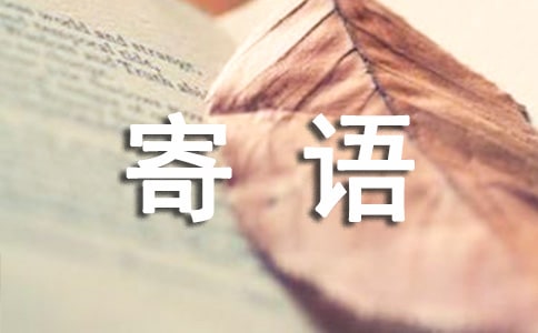 300ֽƪ