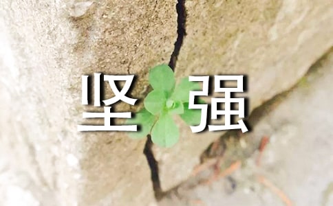 坚强感言60句精选