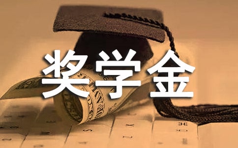 企业奖学金获奖感言12篇