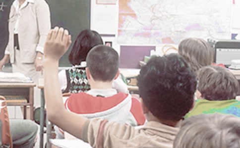 蓝色的树叶教学反思15篇