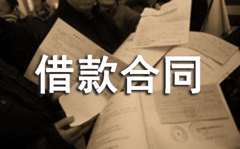 项目借款合同范本