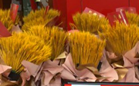 酒店开业工作计划