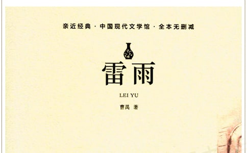雷雨小学作文