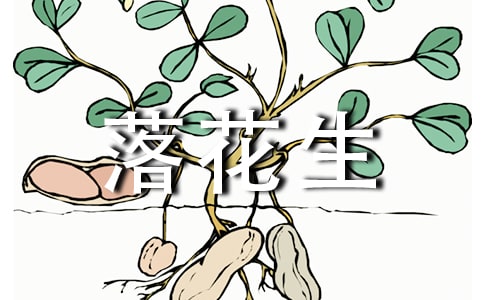 《落花生》教案范文七篇