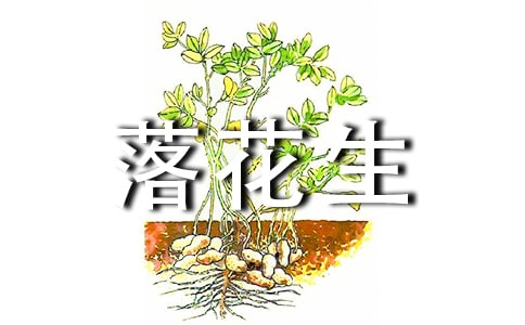 落花生读后感集合15篇